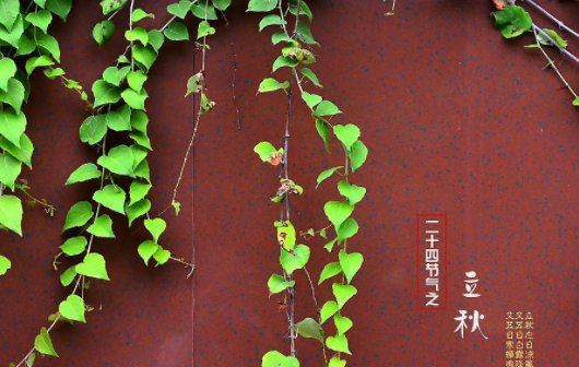 2022什么时候立秋几点几分 2022年的立秋是早秋还是晚秋