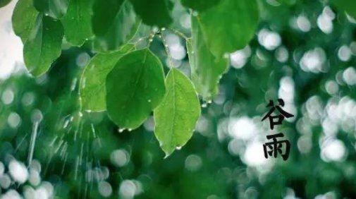 2022年谷雨是几月几号 2022年谷雨节气几点开始