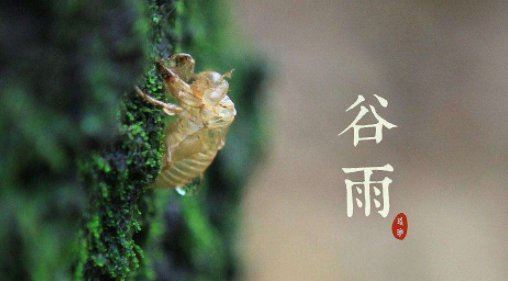 2022年谷雨是几月几号 2022年谷雨节气几点开始