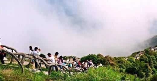 如何去深圳仙湖植物园不用买门票