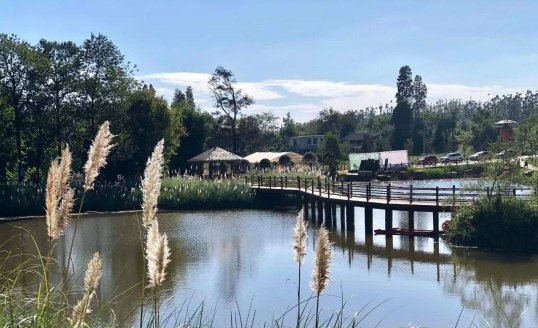 2022年元旦是农历几号