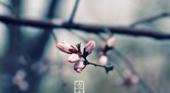 2022年哪天立春几点 2022立春之后哪一天宜婚嫁