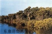 中国重要湿地