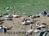 中国重要湿地