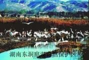 中国重要湿地