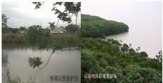 中国重要湿地