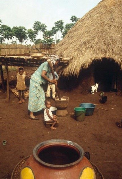 一夫多妻制的国家 盘点十大可以娶多个老婆的国家