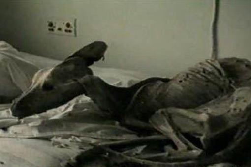 切尔诺贝利事件变种人是什么样的？揭秘切尔诺贝利变异生物