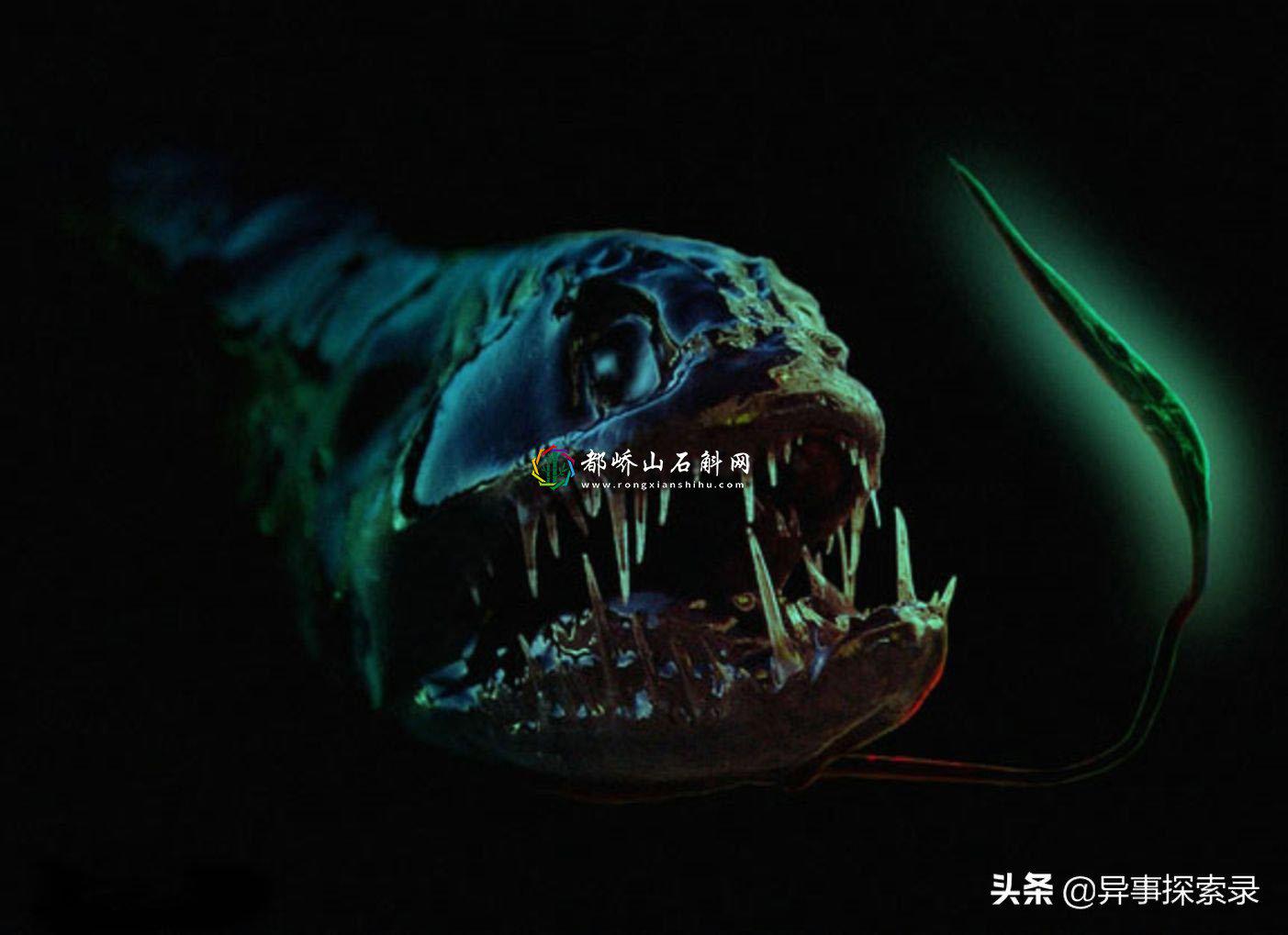 世界八大恐怖怪物【世界十大最恐怖的海洋怪物】