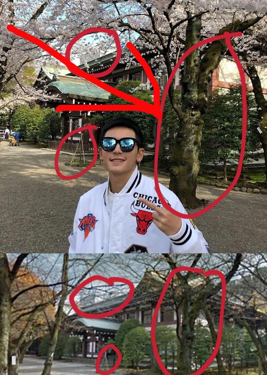 张哲瀚旭日旗事件