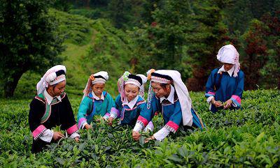 六月六是仙家的什么日子