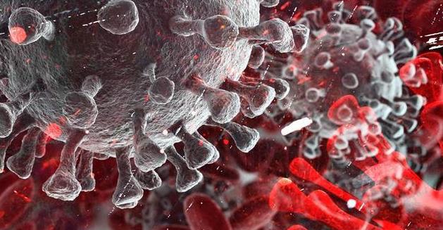 中国唯一一个没有疫情的城市