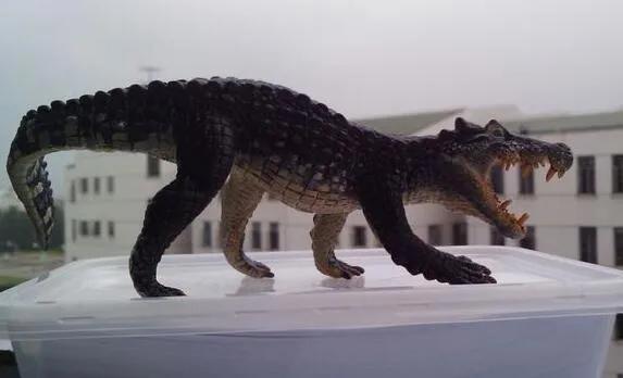 十大灭绝的可怕古生物