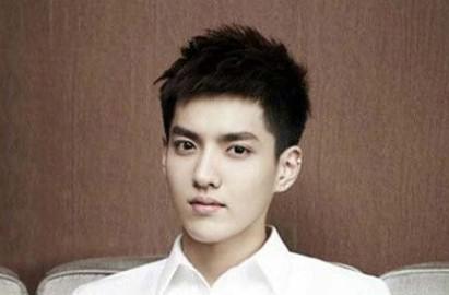 赵丽颖结婚是为了保护吴亦凡