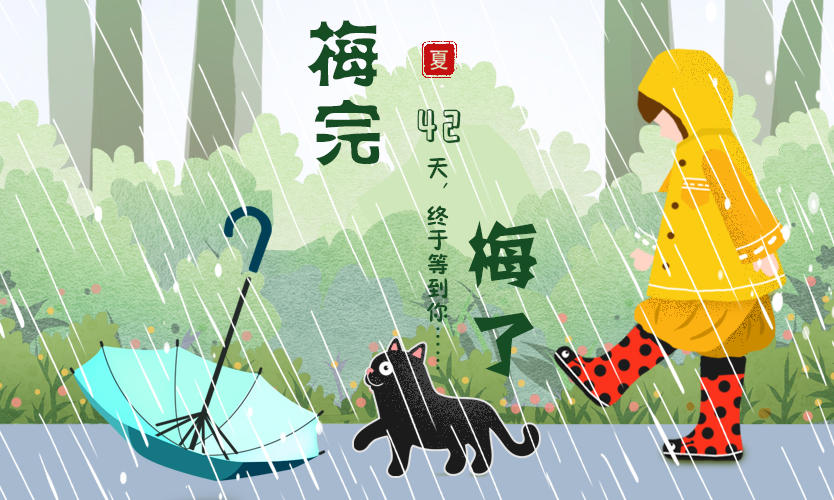 出梅的标准是什么