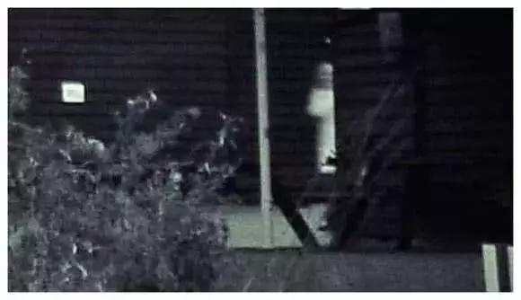 恐怖照片吓死20万人