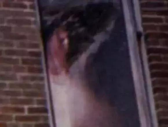 恐怖照片吓死20万人