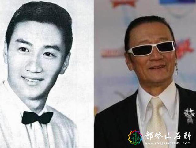 五哥是向华强四哥是谢贤大哥二哥三哥是谁