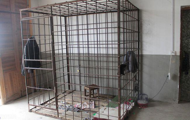 法子英关人的铁笼子图片