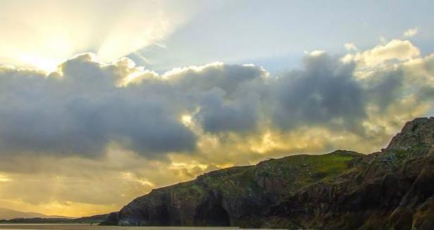 丰县生育八孩女子事件调查和处理情况