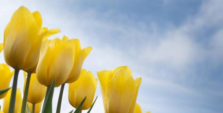 丰县生育八孩女子事件调查和处理情况