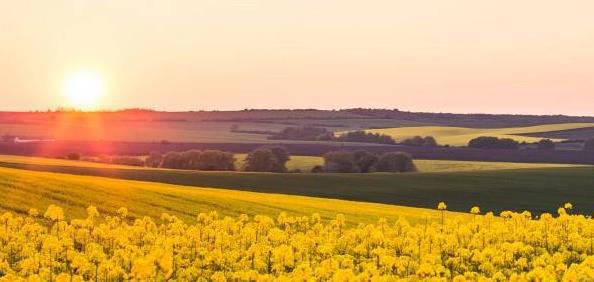 丰县生育八孩女子事件调查和处理情况