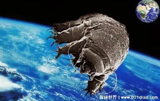 地球之外还有人类吗，没有人类(但存在其它生命)