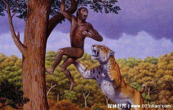 人类曾经的天敌，恐猫专门以古人类为食物(还有一些则活到现在)