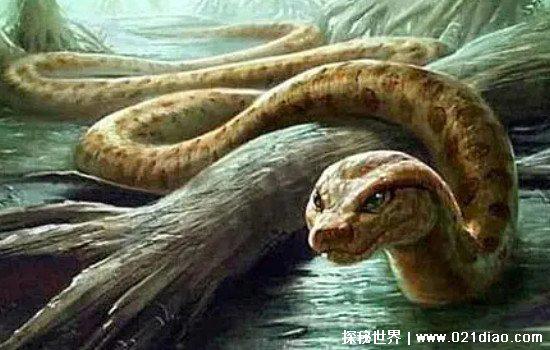 人类曾经的天敌，恐猫专门以古人类为食物(还有一些则活到现在)