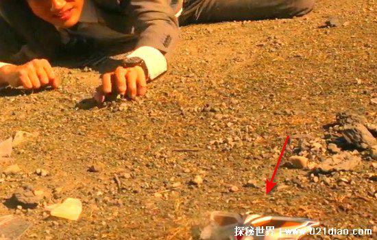 赛罗死了照片，不仅仅只死了一次(但最后都复活了)