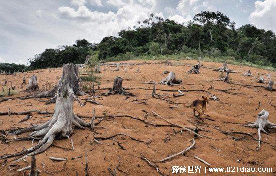 人类最终会消失吗，几十亿年之后或将消失(地球太阳也有寿命)