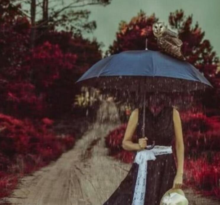 四张抑郁症最怕看到的图片，只有抑郁的人才能感同身受其中悲伤