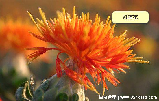 胭脂最早起源于哪个朝代，汉朝时期(主要成分居然有猪内脏)