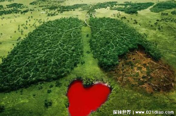 地球有心脏吗，有(地理学上是地核/理论上海底的某处位置)