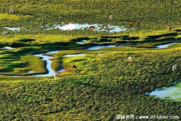 地球有心脏吗，有(地理学上是地核/理论上海底的某处位置)