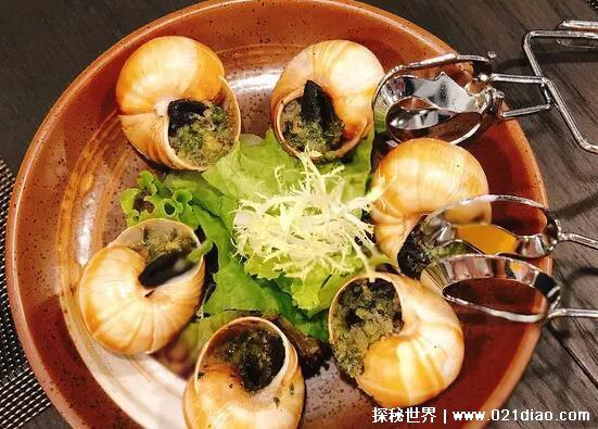 蜗牛会吸血吗，不会(体内的寄生虫处理不当会进入人体)