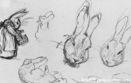 十只兔子的故事答案，高级推理是因情谋杀(更恐怖的不敢看)