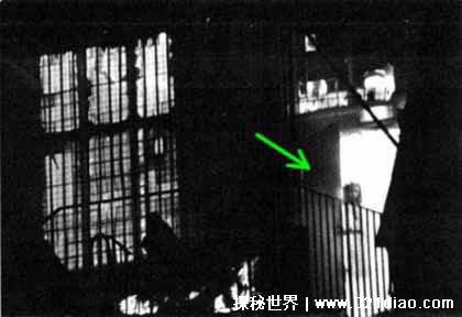 世界十大禁止恐怖照片,百分之九十九的人都被吓到