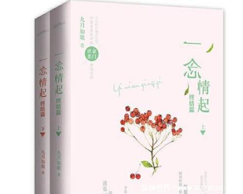 十部顶级耐看小说言情向，老书虫反复推荐(偷偷藏不住磕得很上头)