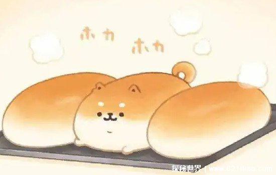 小母牛坐灯泡什么意思，牛逼闪闪(网络歇后语/一般用来嘲讽)