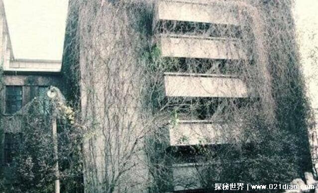 劲松鬼楼事件真相，30岁青年被吓到一夜白头(谣言)