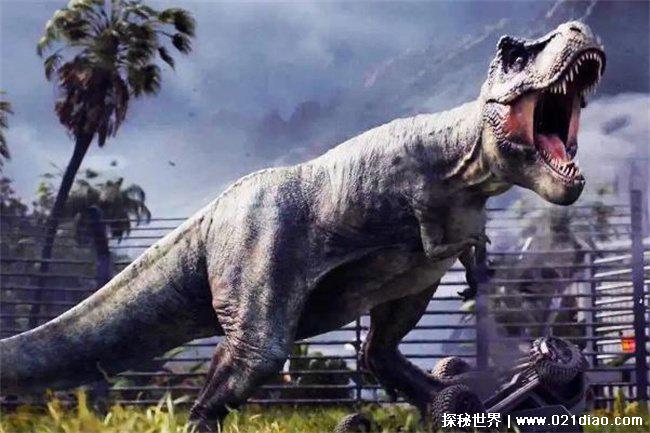 老虎能打败霸王龙吗，打不过(实力差距大)