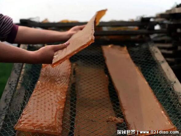 动物胶配方整个过程，仅需3步做出高品质食用动物胶
