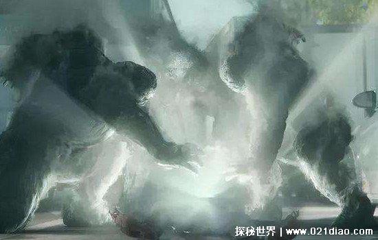 地狱公使真相是什么，揭露了新真相的虚伪(郑晋守趁机改变秩序)