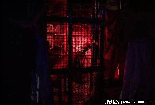 广州芳村鬼屋的真相,中学和基督教教堂的文物(并未发生火灾)