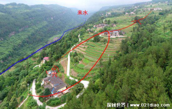 清明上坟带什么祭品，水果鲜花糕点都可以(但有一些禁忌要注意)