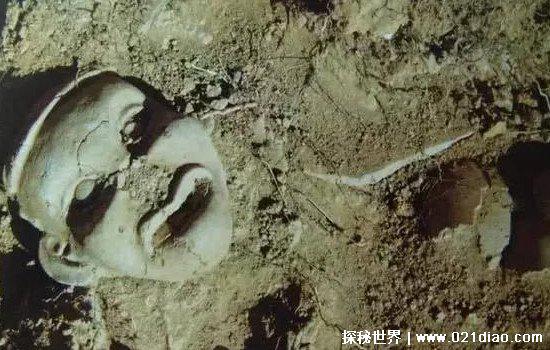 女娲吓人真身尸骨图片，人头蛇身面目狰狞(胆小勿入)