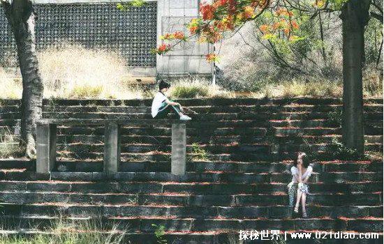 兔子暴力原型真实事件,南京女孩为帮母还债合谋杀死自己同学