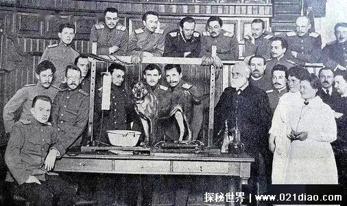 巴甫洛夫的狗是什么意思，形容某人反应不经过大脑