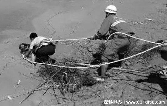 沼泽会把人吸到哪去，吸到地下去(附带正确的沼泽自救方法)